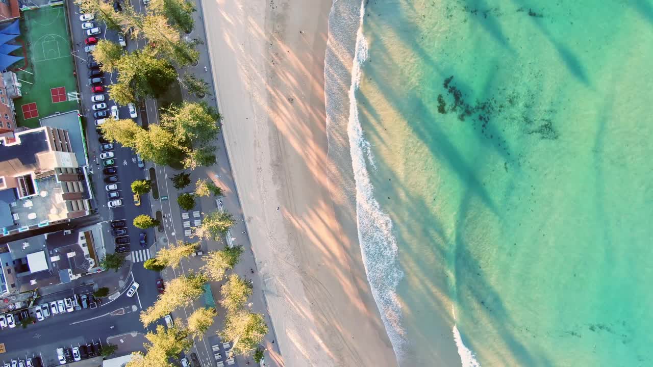 美丽的空中鸟眼无人机沿着著名的曼利海滩和步行街飞行，这是一个海滨郊区和澳大利亚新南威尔士州悉尼北部海滩地区的一部分。下午晚些时候太阳。视频下载