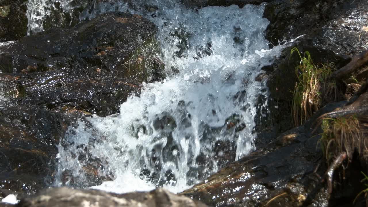 泉水顺着石床流下。山河在岩石上沸腾。在岸边的根和绿色苔藓上视频下载