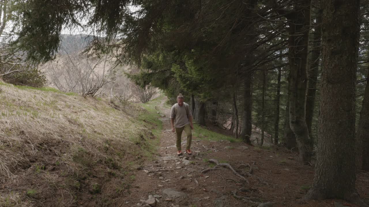 一个徒步旅行者穿过森林的宽镜头，被树木包围，在向上的道路上视频素材