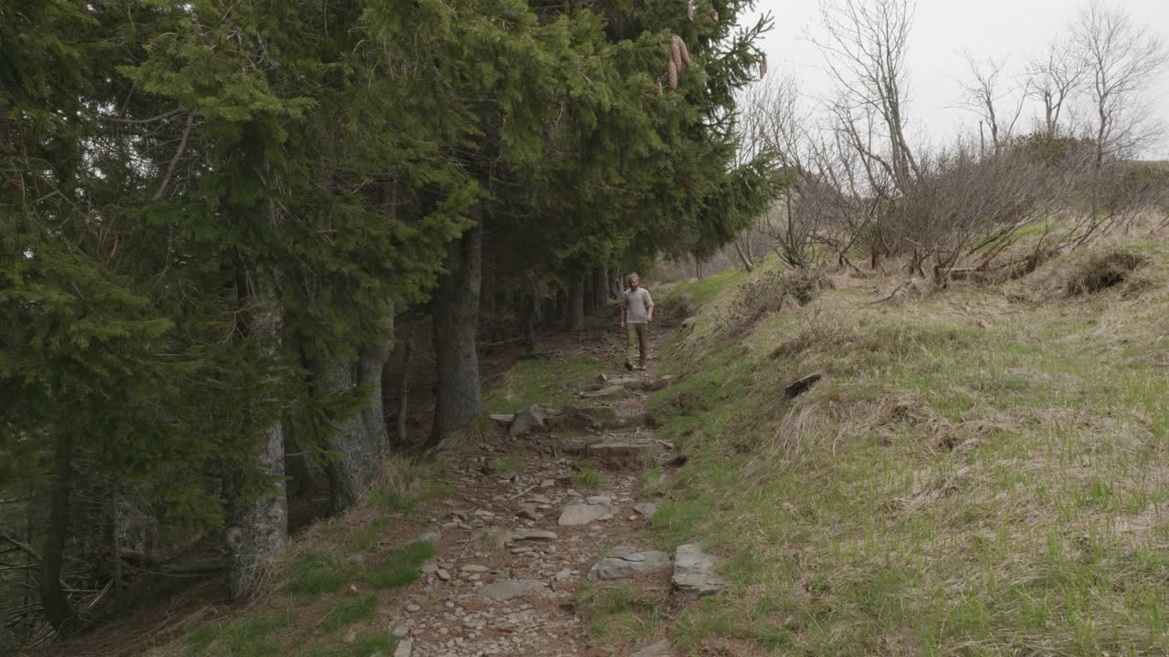 一个徒步旅行者继续沿着小路回到树林里的广角镜头视频素材