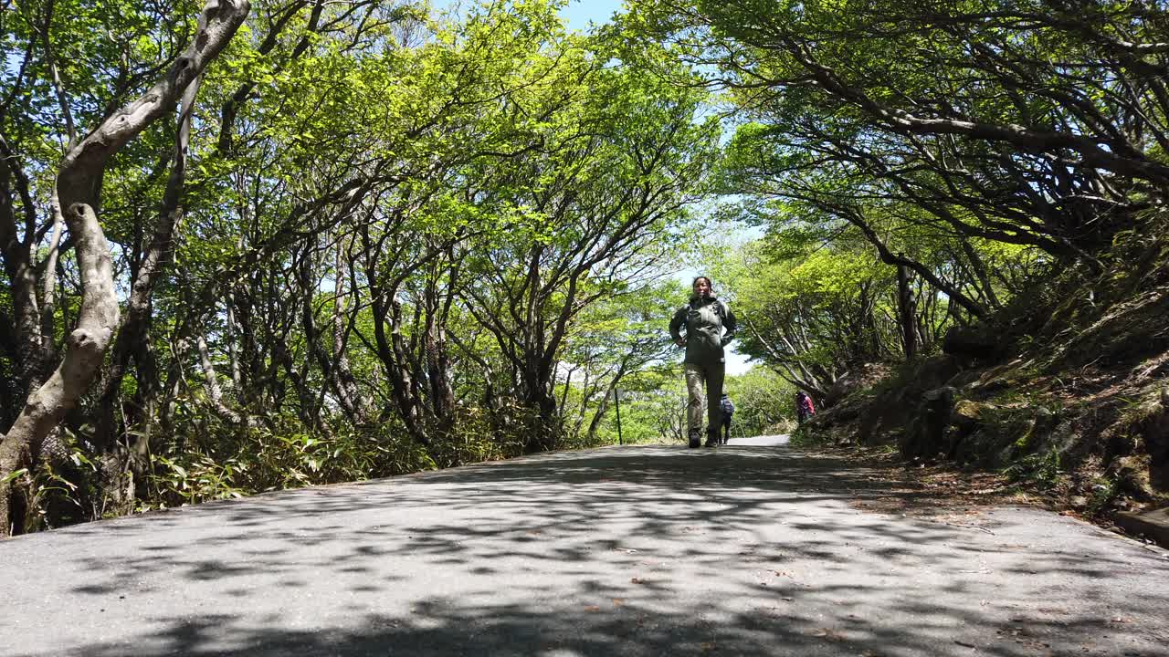 独自登山的女性视频素材