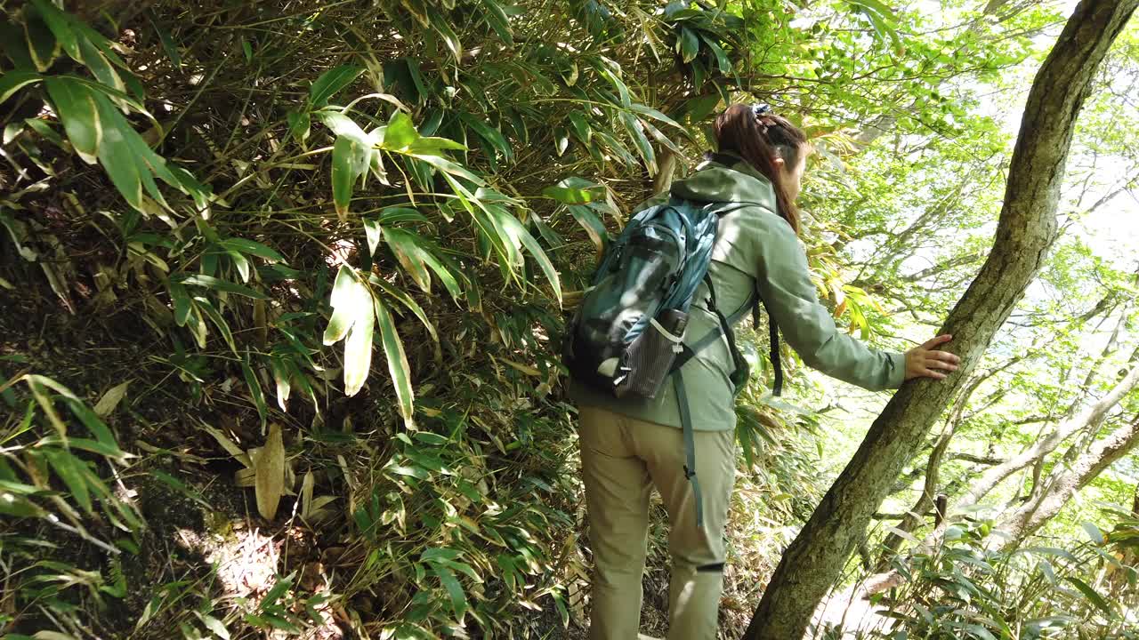 独自登山的女性视频素材