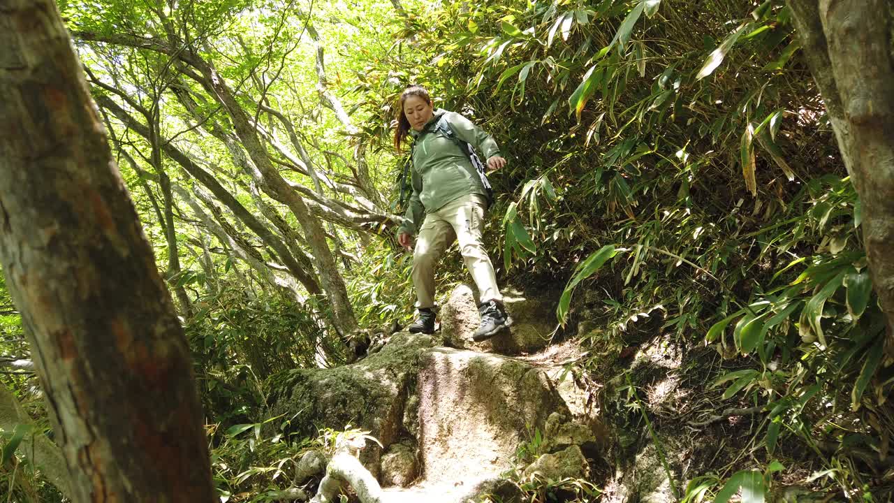 独自登山的女性视频素材