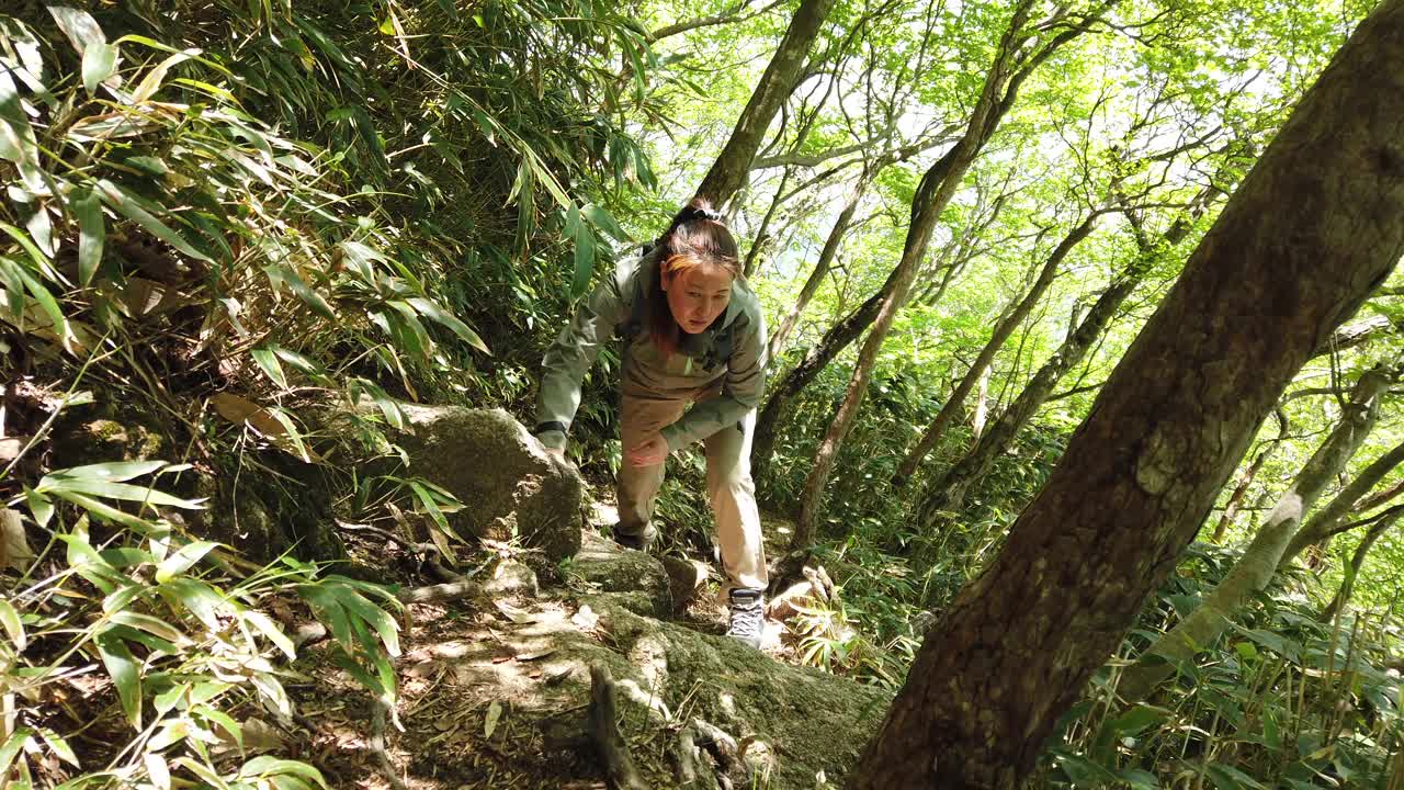 独自登山的女性视频素材