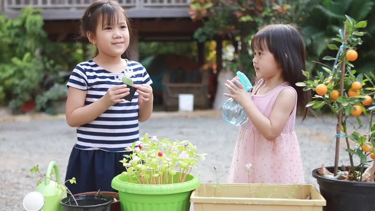 亚洲兄弟姐妹的孩子在花园里玩和探索他们种植的芽。生态友好园艺和可持续生活的概念，在家里种植自己的食物。视频下载