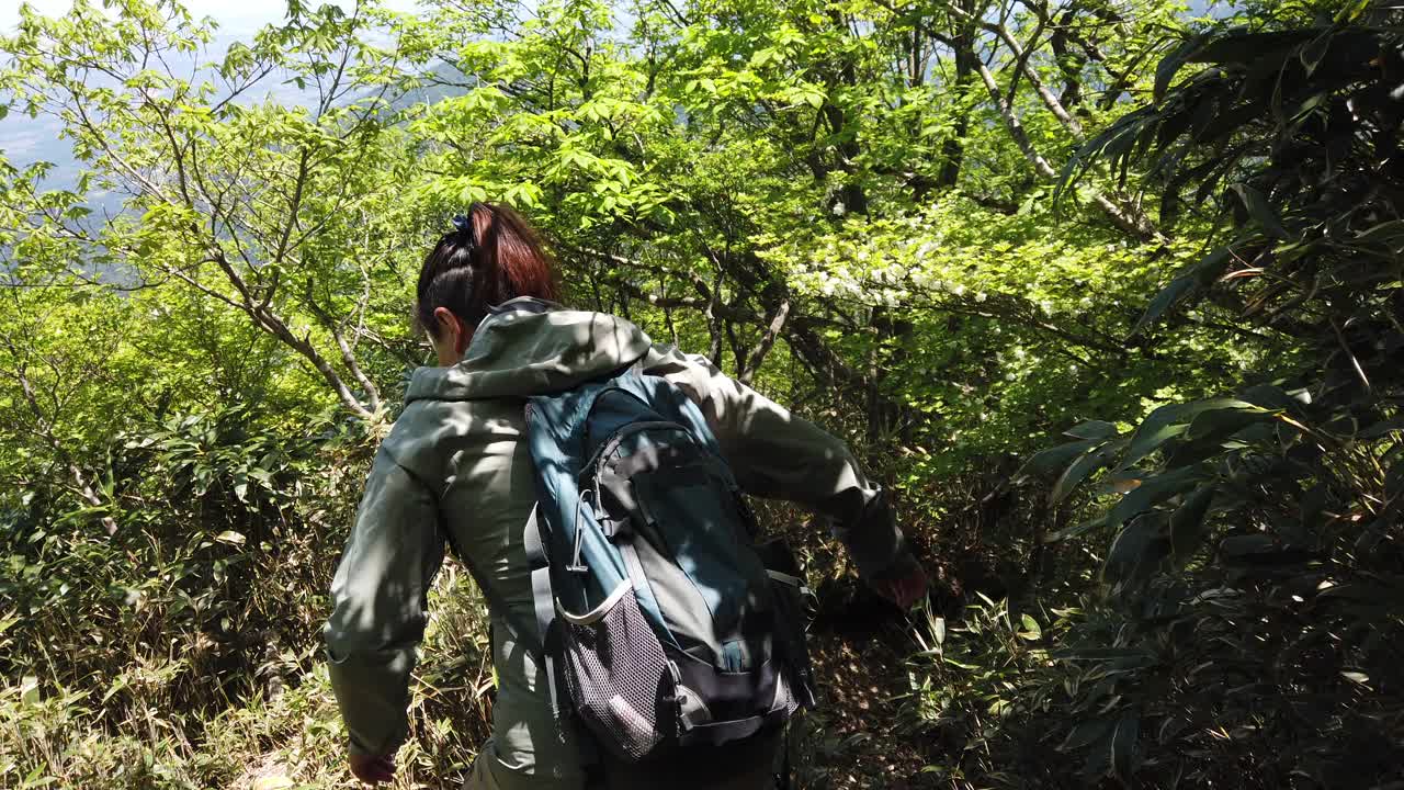 独自登山的女性视频素材