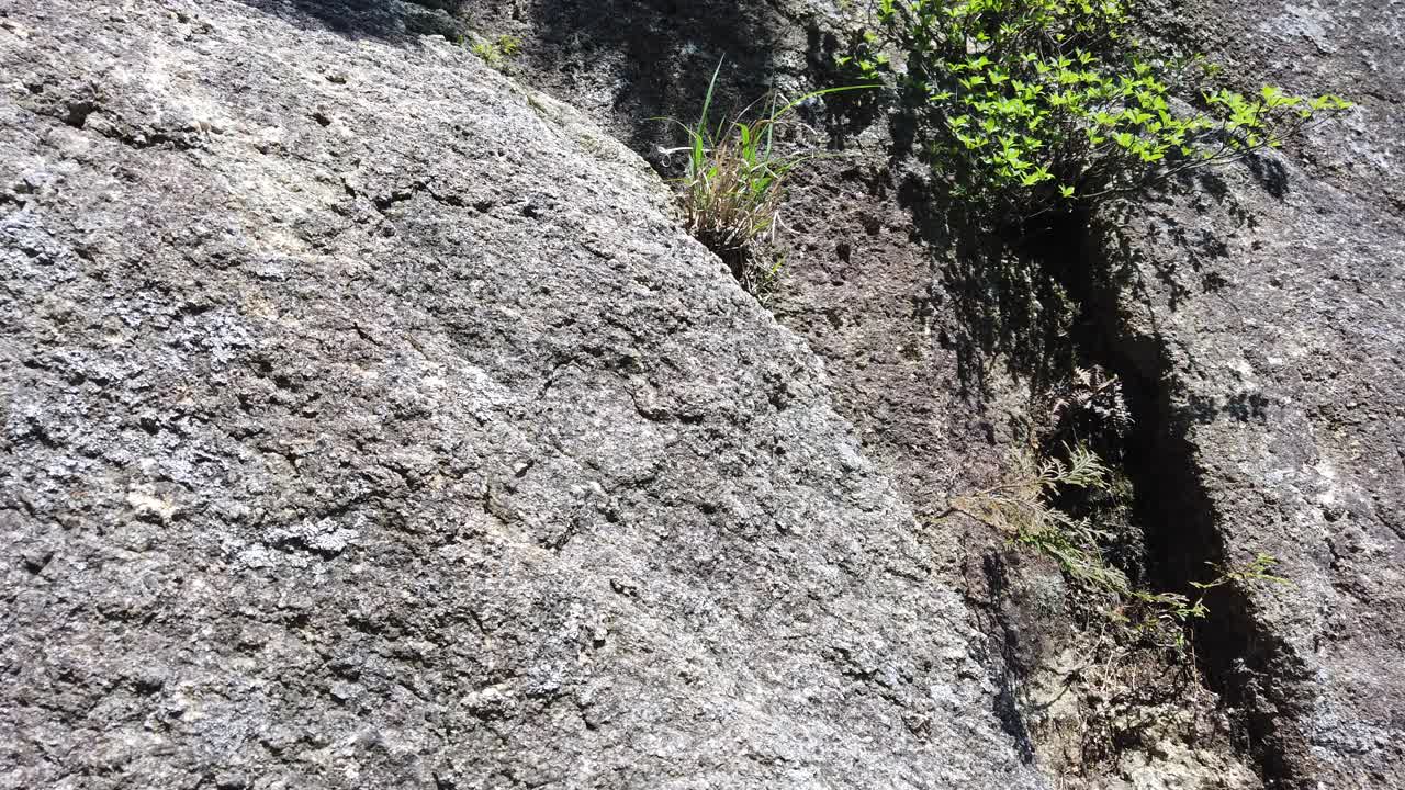 独自登山的女性视频素材