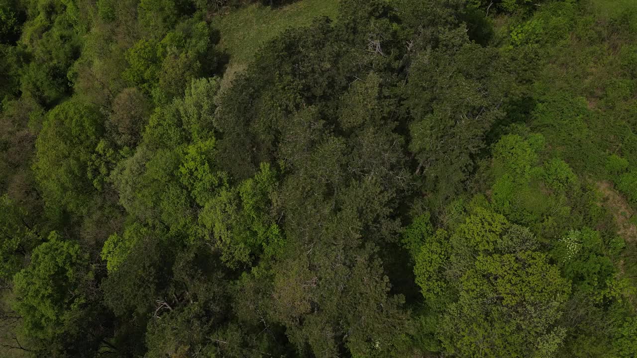 一架无人机在一个阳光明媚的日子里拍摄下奥地利维也纳森林边缘的绿色山丘、草地和新鲜森林视频下载