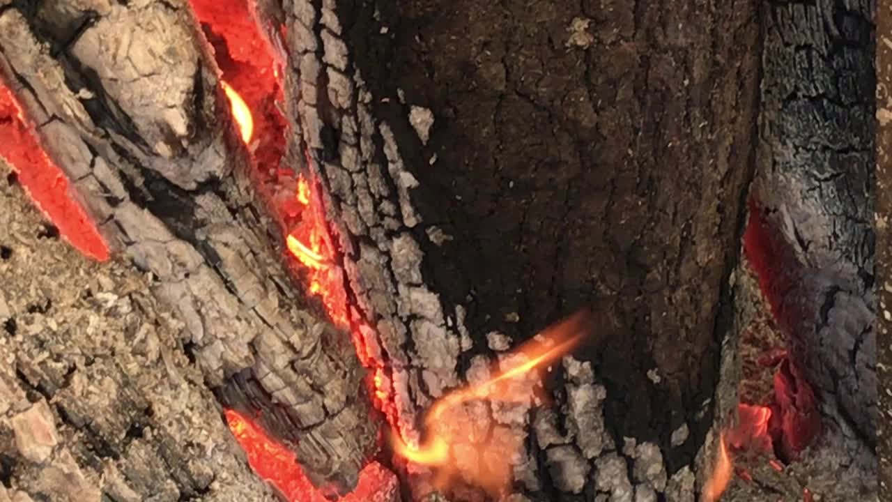 燃烧的木头火焰，特写拍摄视频下载