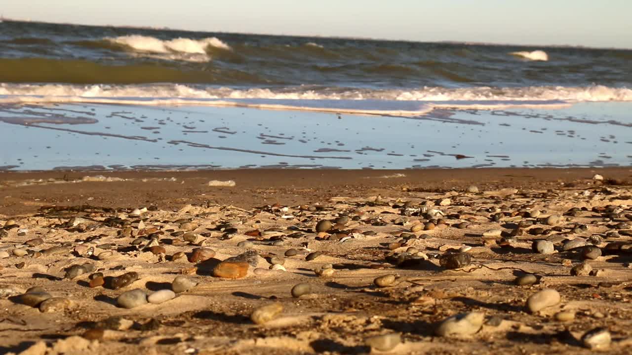 日出时的海滩冲浪视频下载