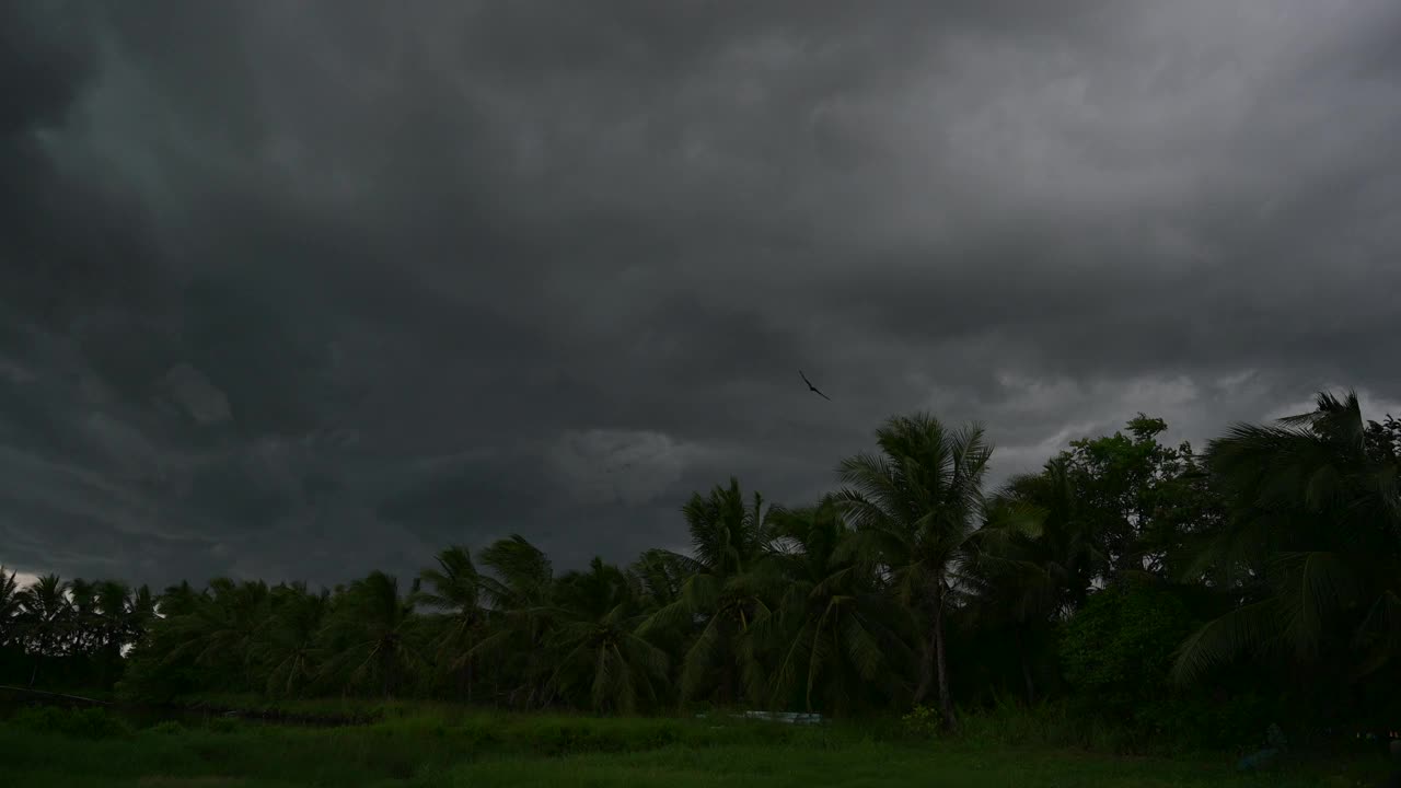 风暴正在袭击森林，泰国正在下大雨。洛坤府视频下载