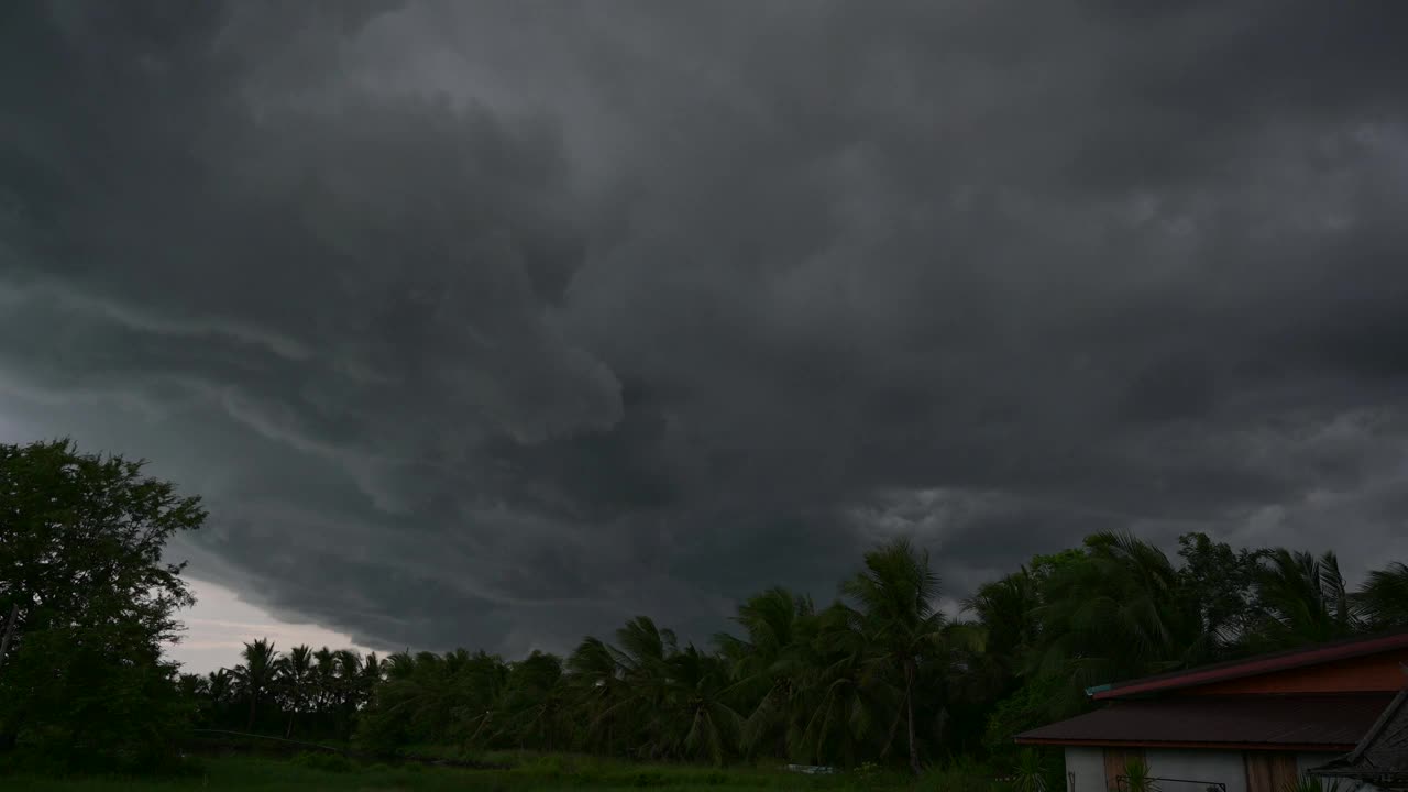 风暴正在袭击森林，泰国正在下大雨。洛坤府视频下载