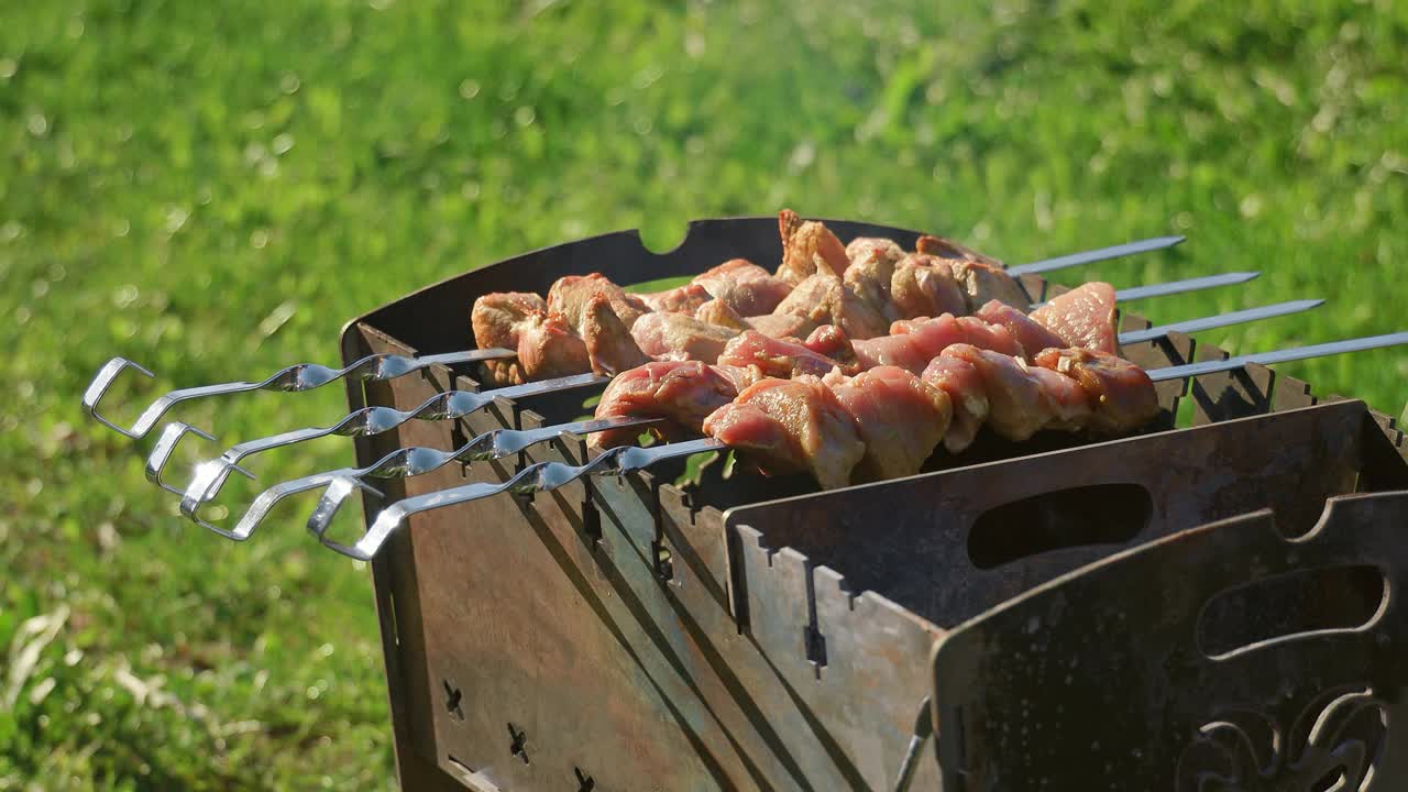 熏烤肉。在烤架上烧烤。夏季野餐。视频下载