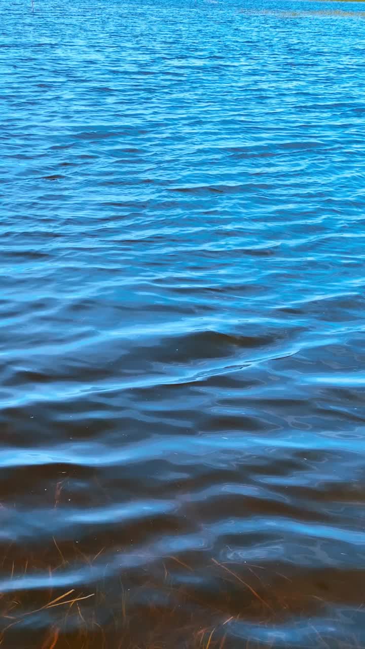 平静的湖水，荡漾在风中。视频下载