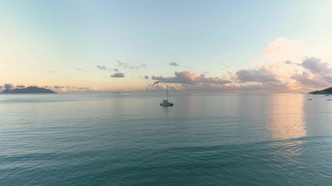 在大海的背景下，一群海鸥在无人机摄像头附近飞翔。视频下载