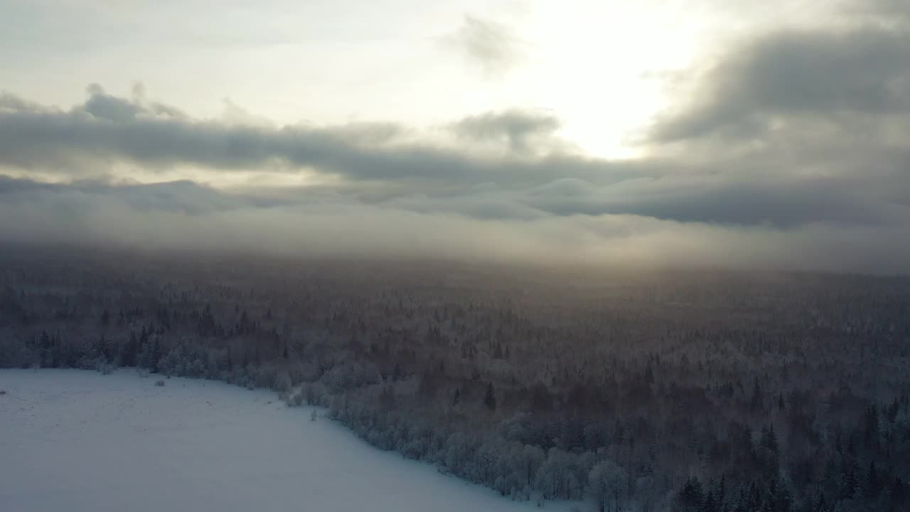 冬季森林。鸟瞰高空。视频素材