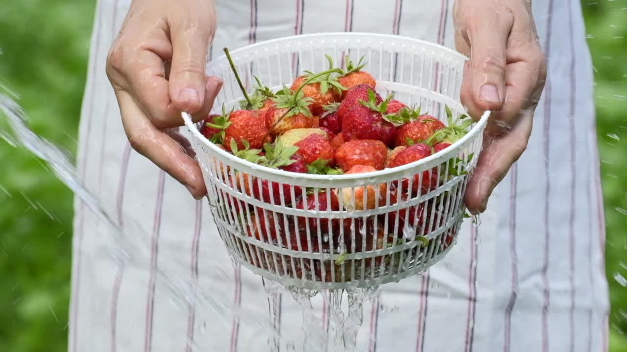 女人把草莓放在碗里。夏天在户外用慢动作把水倒在篮子里的新鲜草莓上。洗草莓水果。用流动的水冲洗有机草莓视频素材