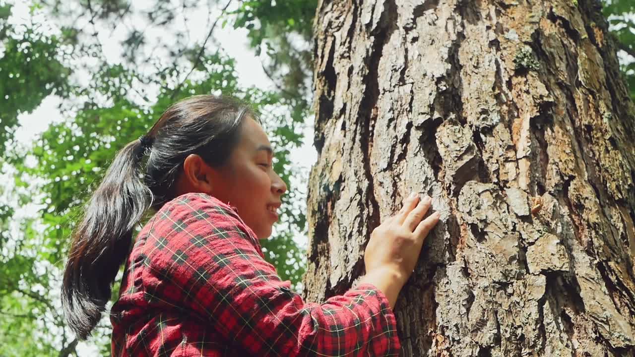 雨林里，一个快乐的女人站在一棵老树旁，用爱和微笑拥抱着。地球日和不砍伐森林的概念。视频素材