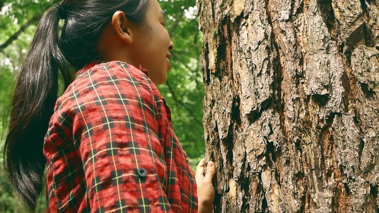 雨林里，一个快乐的女人站在一棵老树旁，用爱和微笑拥抱着。地球日和不砍伐森林的概念。视频素材