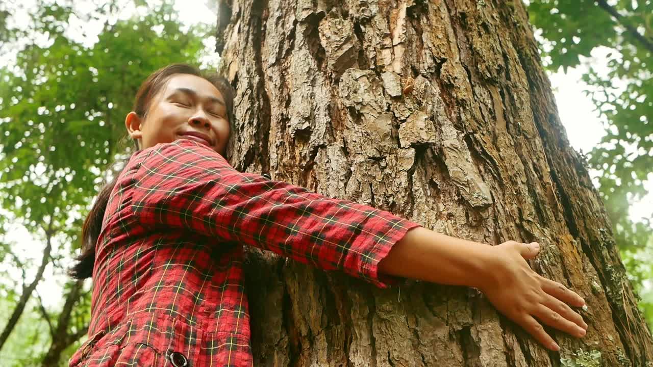 雨林里，一个快乐的女人站在一棵老树旁，用爱和微笑拥抱着。地球日和不砍伐森林的概念。视频素材