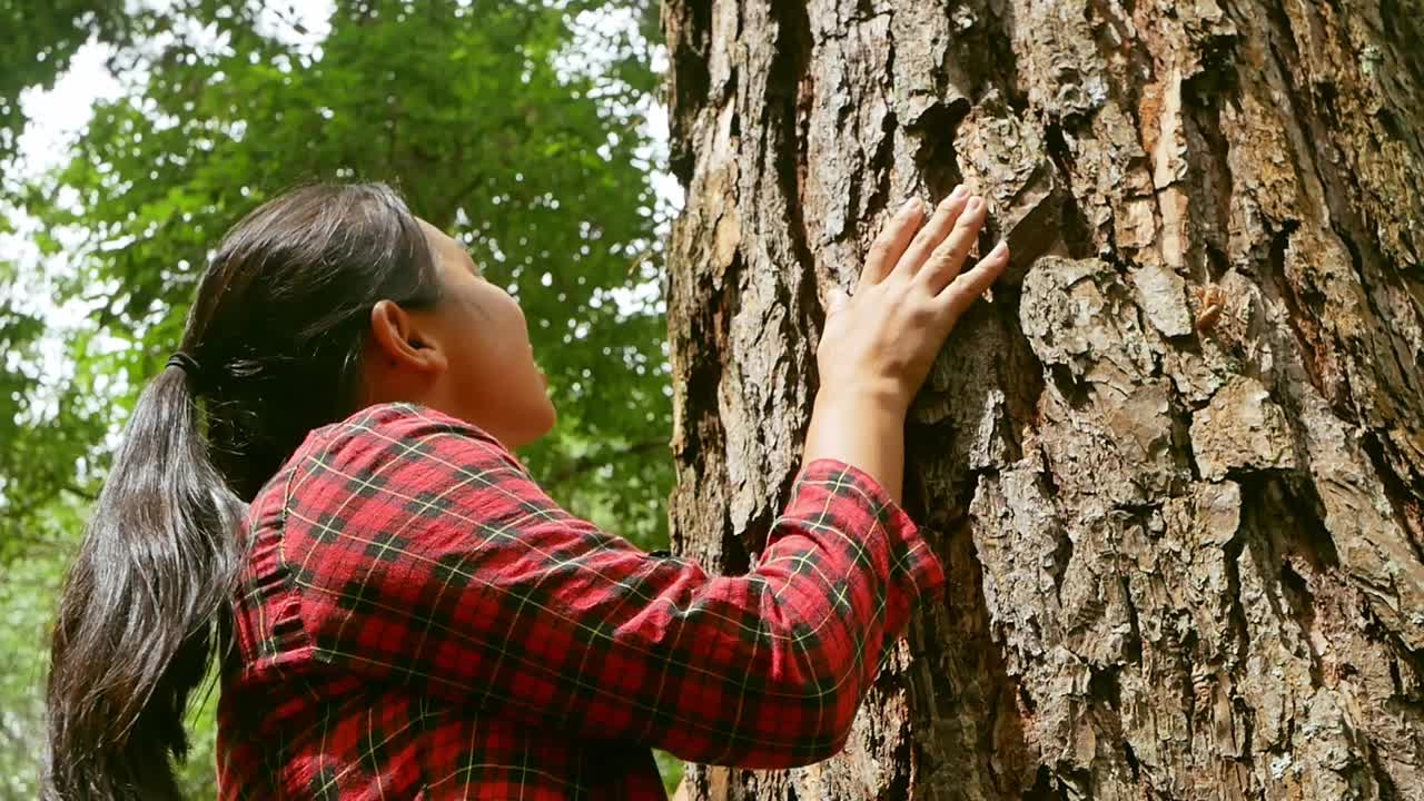 雨林里，一个快乐的女人站在一棵老树旁，用爱和微笑拥抱着。地球日和不砍伐森林的概念。视频素材