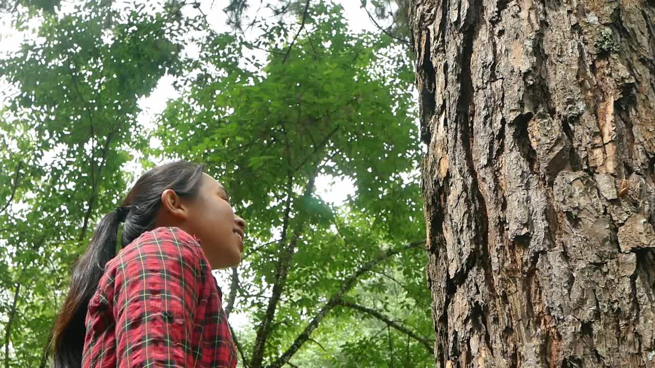 雨林里，一个快乐的女人站在一棵老树旁，用爱和微笑拥抱着。地球日和不砍伐森林的概念。视频素材