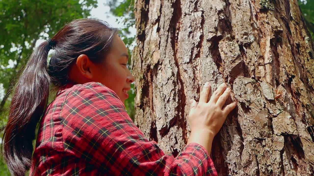 雨林里，一个快乐的女人站在一棵老树旁，用爱和微笑拥抱着。地球日和不砍伐森林的概念。视频素材