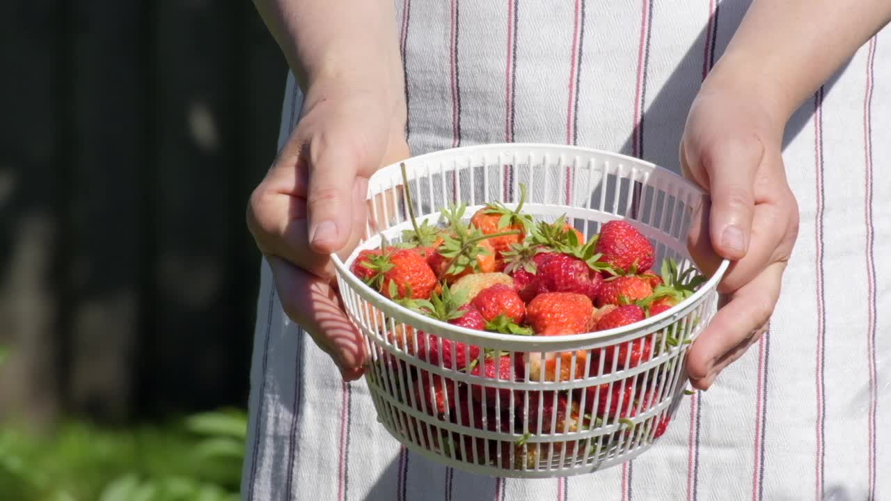 女人把草莓放在碗里。夏天在户外用慢动作把水倒在篮子里的新鲜草莓上。洗草莓水果。用流动的水冲洗有机草莓视频素材