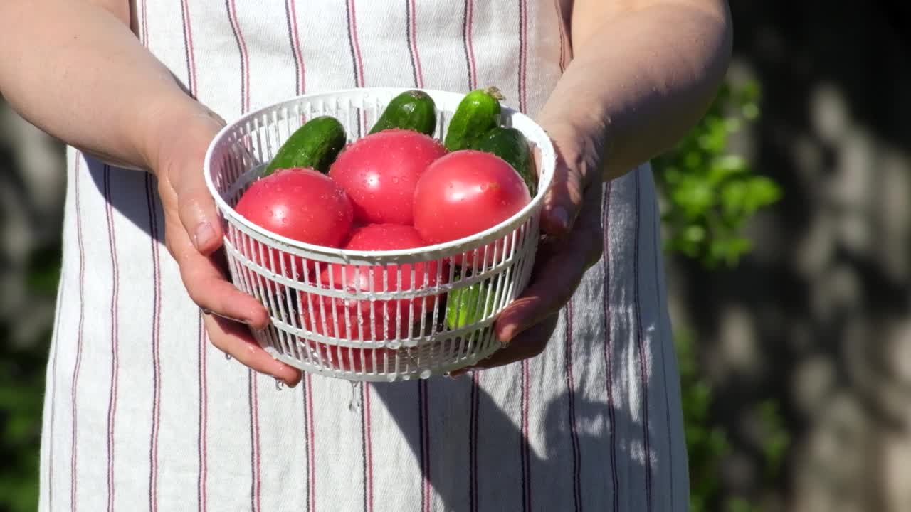 女人把西红柿和蔬菜放在碗里。夏天在户外用慢动作给一堆新鲜的西红柿浇水。洗蔬菜。用自来水冲洗有机番茄。生态系统概念视频素材