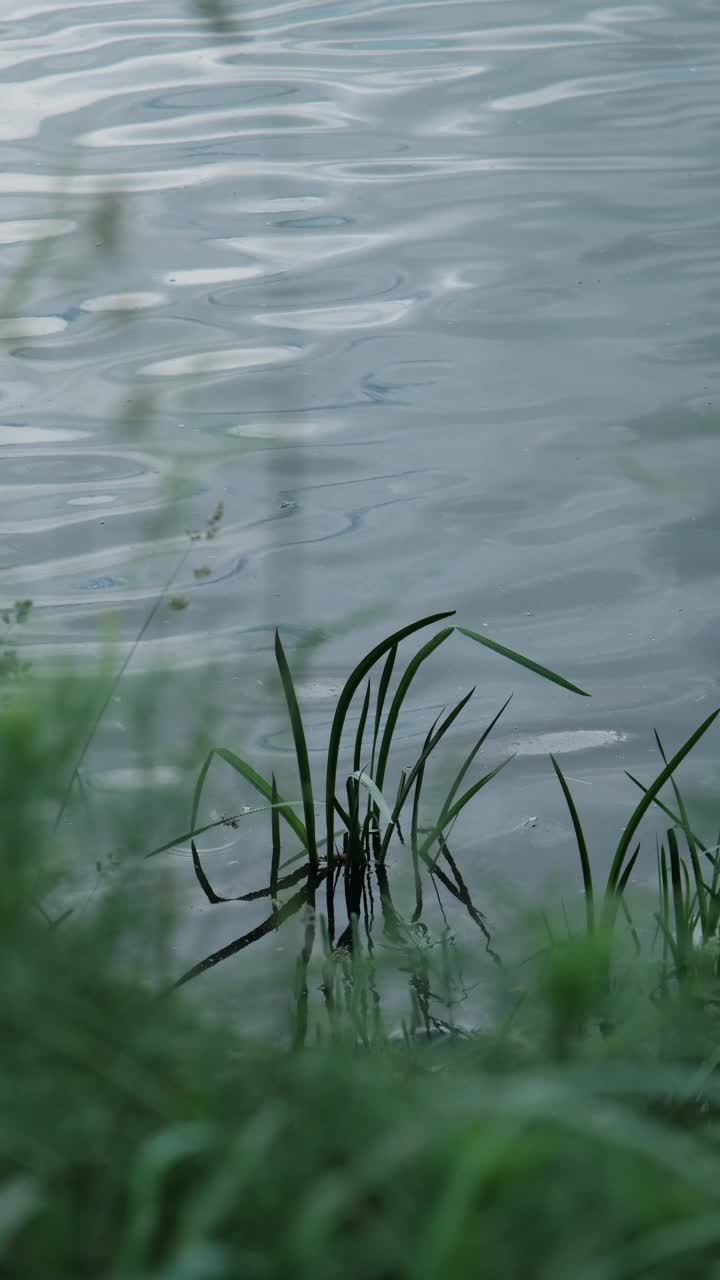 波浪形河水面视频素材