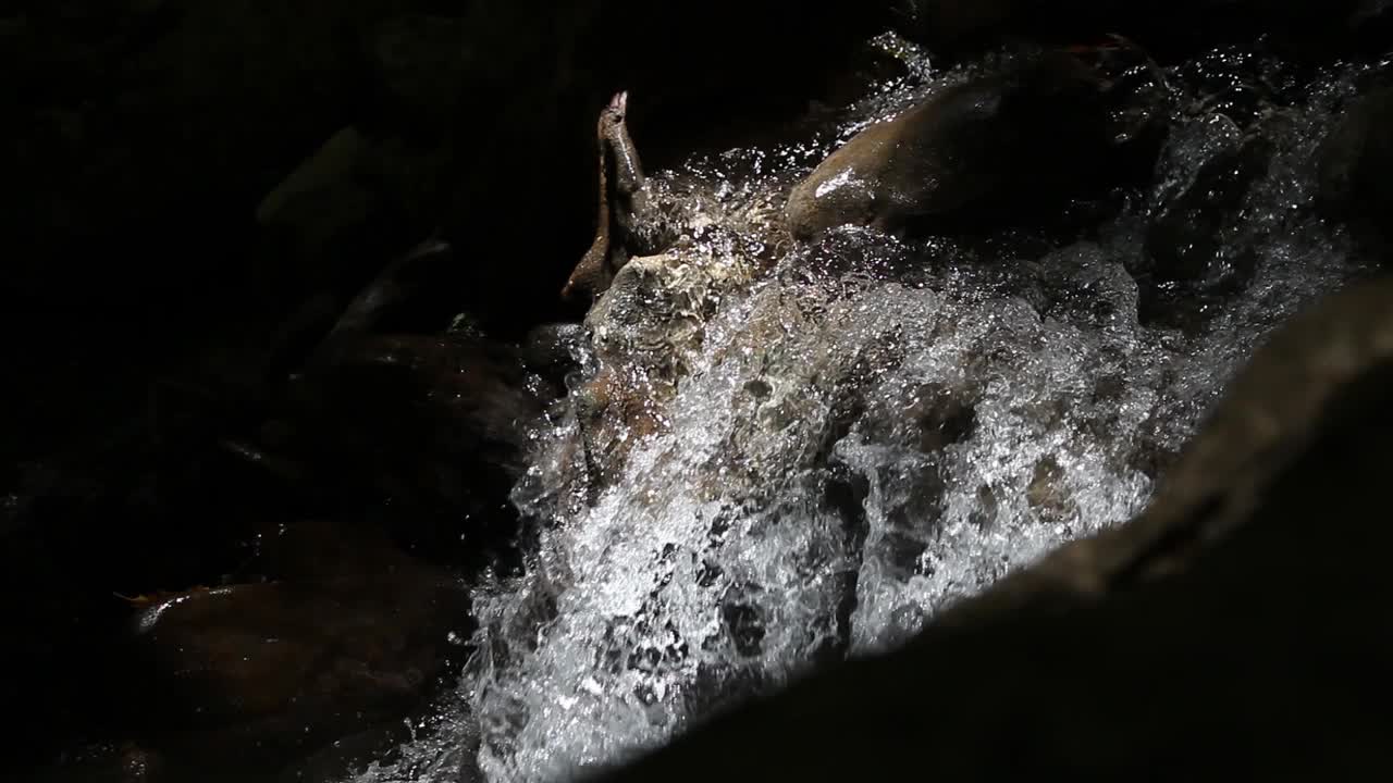 小河瀑布的水流特写视频下载