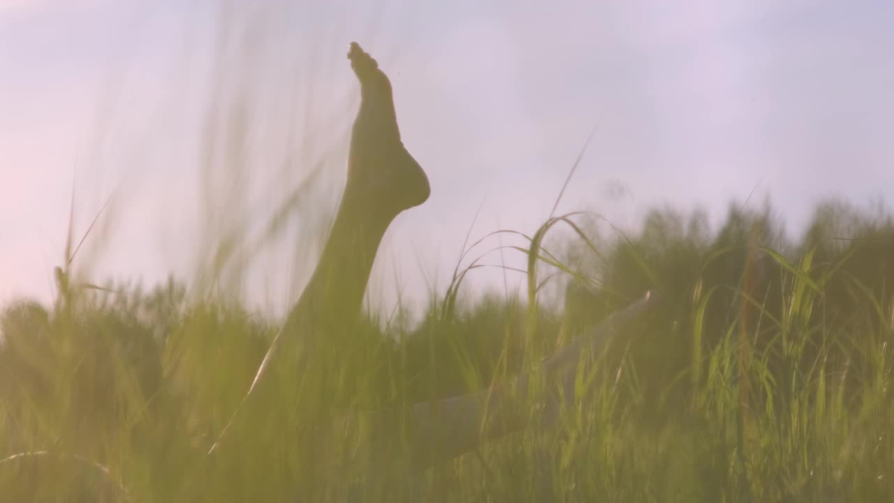 女人的腿和草地在一个领域的特写。明亮的夕阳在田野里。视频下载