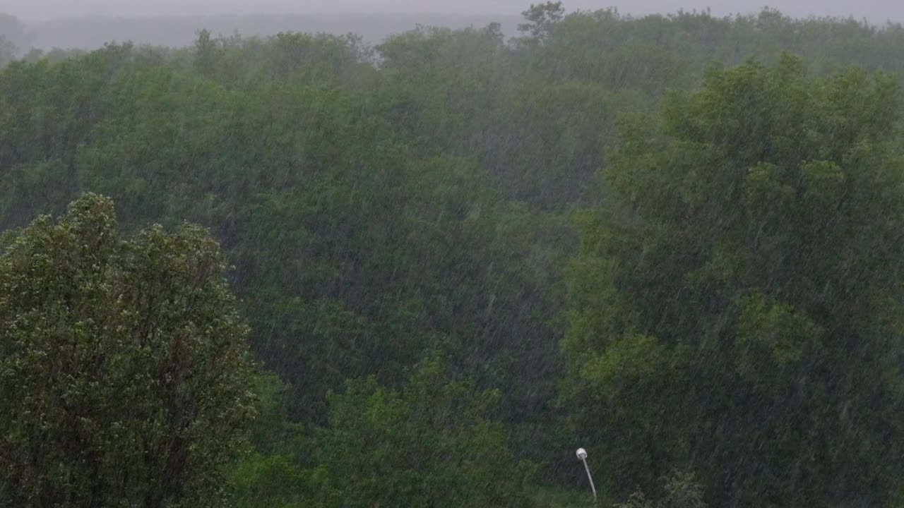 大雨与风在绿树的背景，雷暴，风暴视频素材