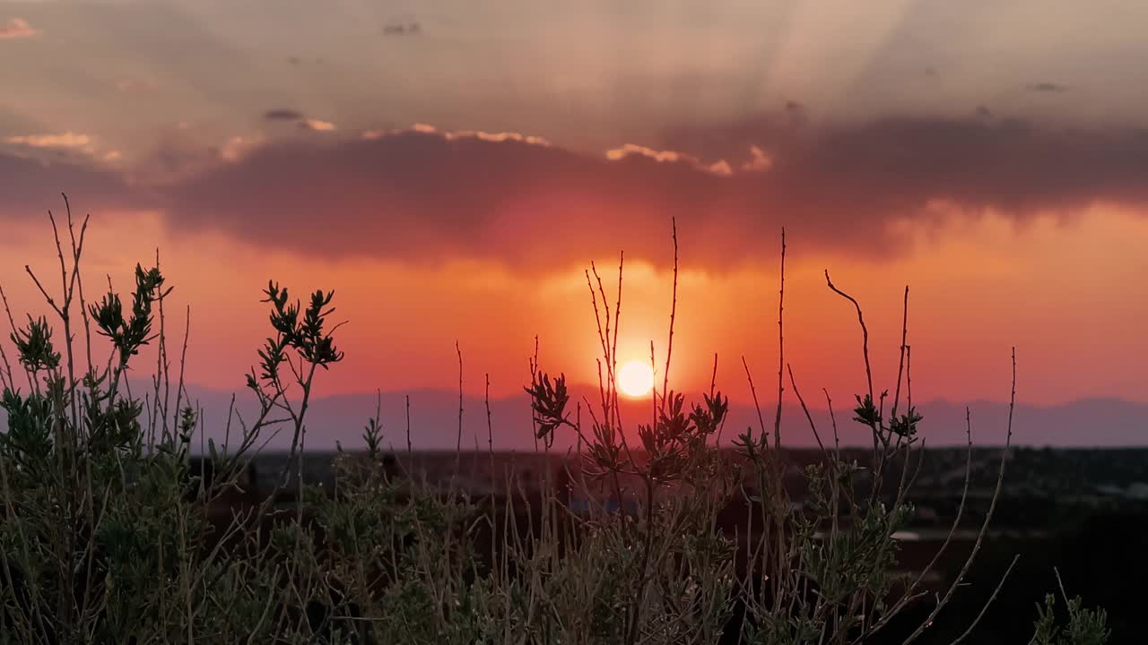 夕阳穿过灌木丛和树叶，金色的天空和美丽的云彩视频下载