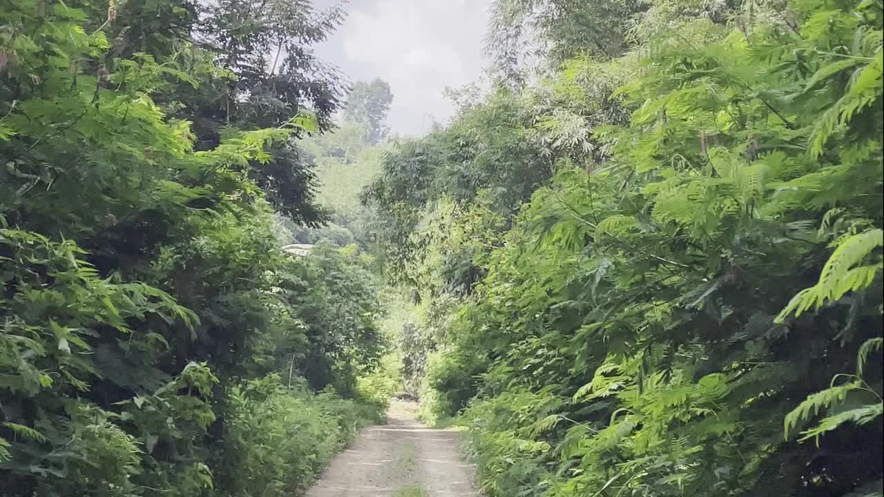 去山上的旅行视频下载