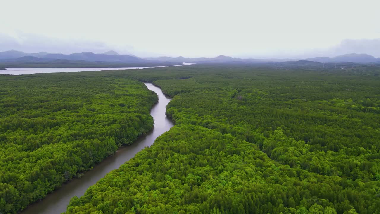 攀雅湾美丽的景色，从泰国攀雅省Samed Nang Chee攀雅湾河和山的红树林鸟瞰图。视频下载