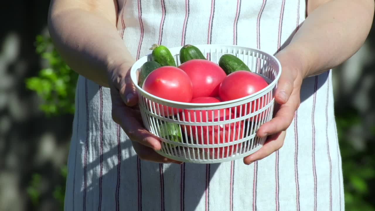 女人把西红柿和蔬菜放在碗里。夏天在户外用慢动作给一堆新鲜的西红柿浇水。洗蔬菜。用自来水冲洗有机番茄。生态系统概念视频素材