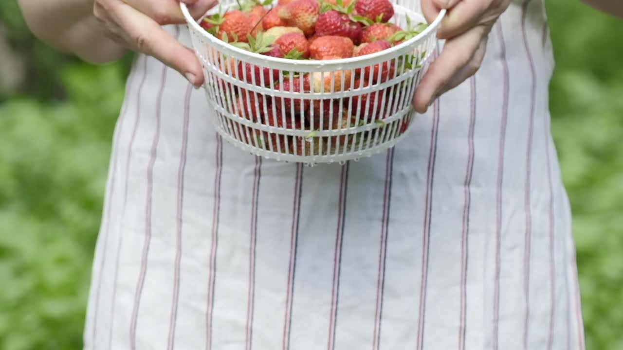 女人把草莓放在碗里。夏天在户外用慢动作把水倒在篮子里的新鲜草莓上。洗草莓水果。用流动的水冲洗有机草莓视频素材