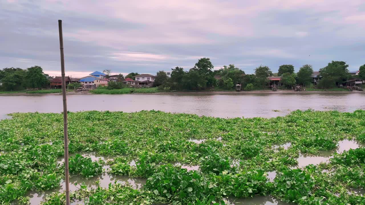 晚上在湄南河视频下载