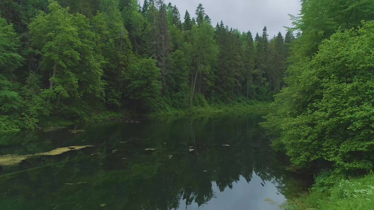 森林湖泊与黑暗平静的水。视频素材