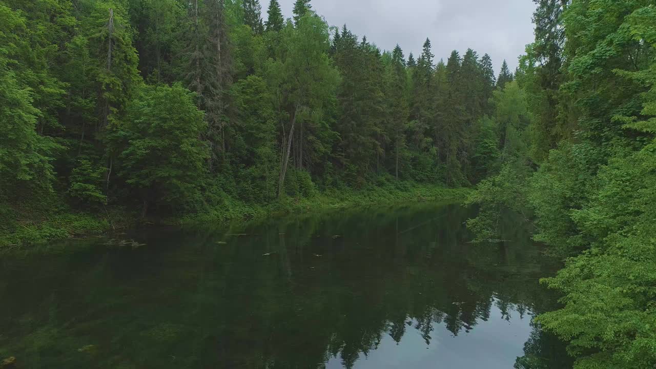 在茂密的森林中，湖水平静而黝黑视频素材