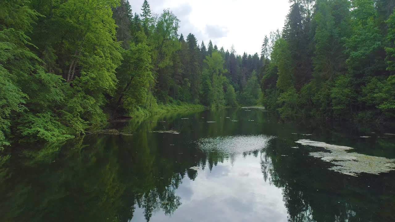 飞过森林湖泊的黑水。4 k视频素材