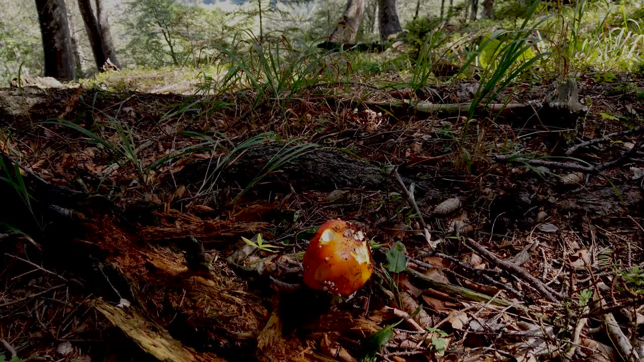 欧洲修根道和尚穿着传统服装在奥地利山区徒步旅行，奥地利，Ötscher视频下载