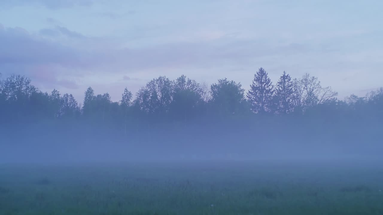 壮丽的日出在树木环绕的草地上。春天的风景视频素材