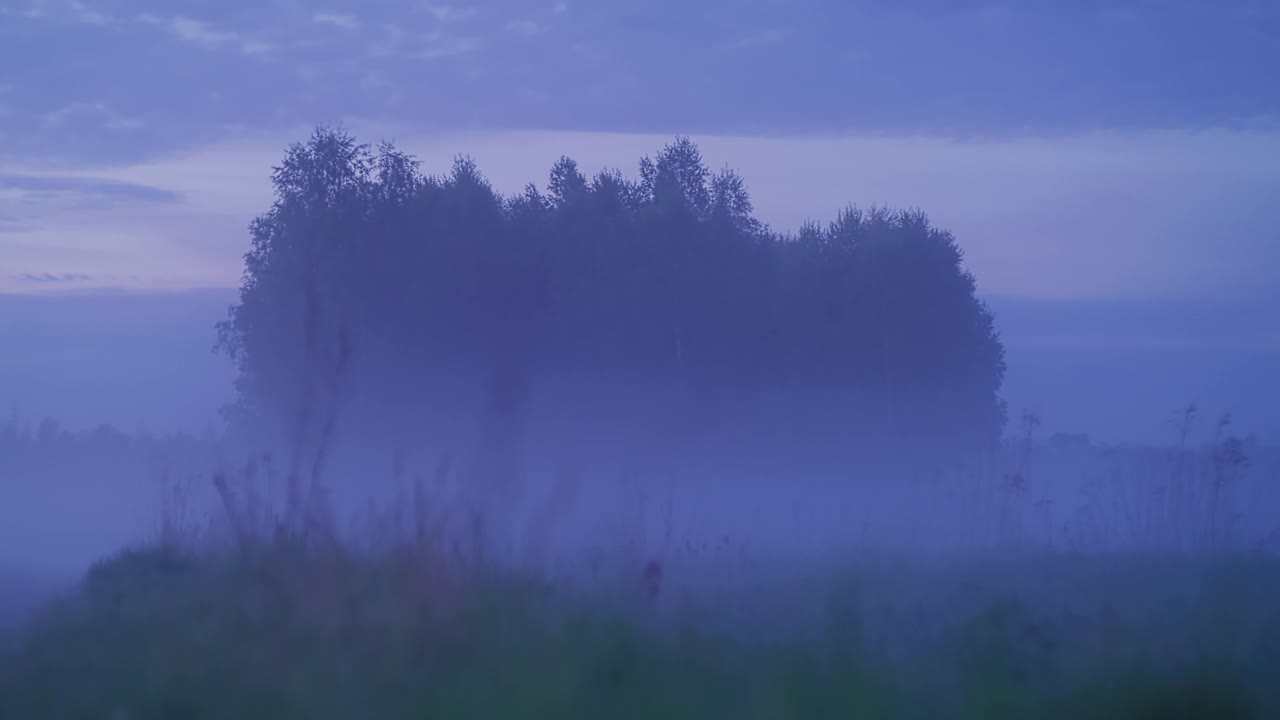 壮丽的日出在树木环绕的草地上。春天的风景视频素材