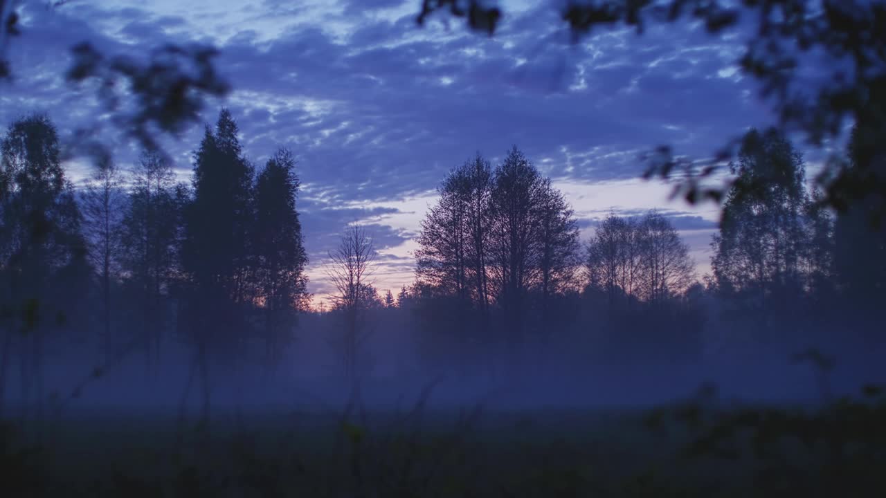 壮丽的日出在树木环绕的草地上。春天的风景视频素材