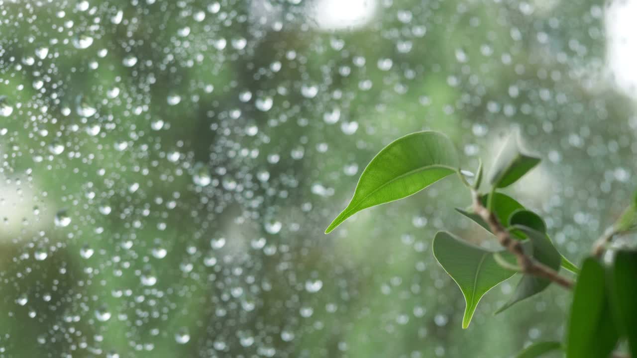 雨天的窗户后面，4k慢镜头60fps视频素材