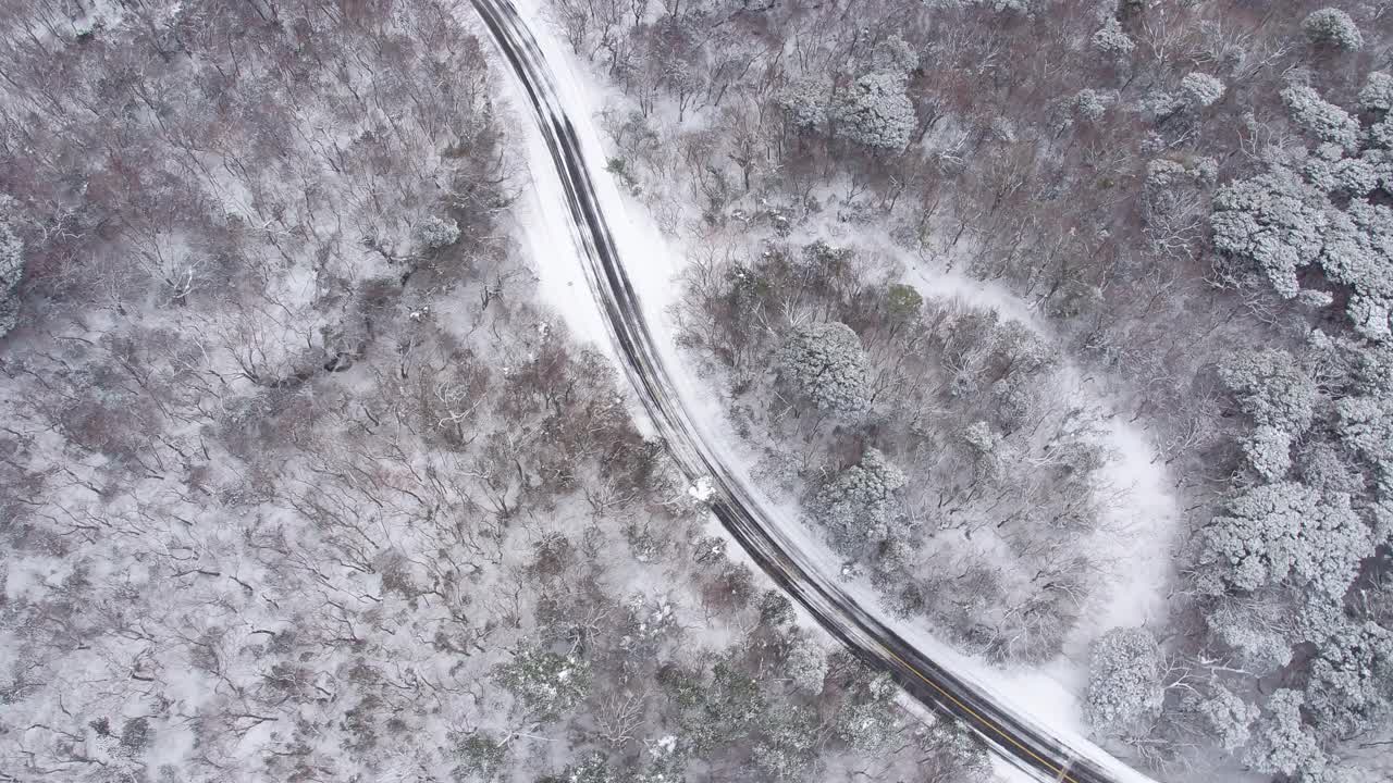 森林和道路的雪景/韩国济州岛视频素材