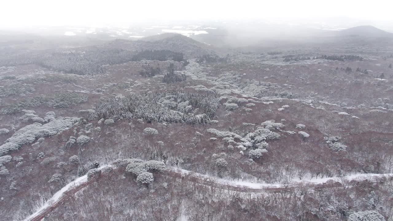 森林和道路的雪景/韩国济州岛视频素材