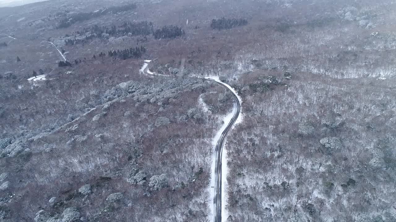 森林和道路的雪景/韩国济州岛视频素材